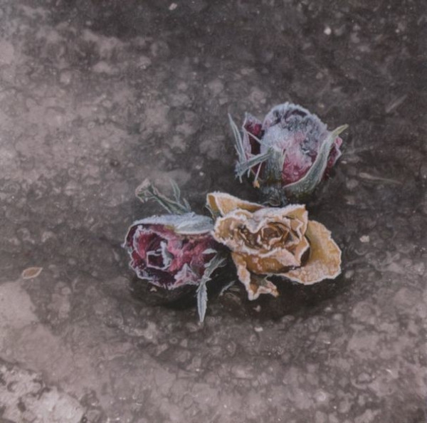 Voluntaria/Trauer - Wintersturm