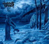 Woods of Infinity - Forlat