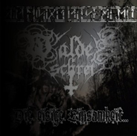 Waldesschrei - Die Eisige Einsamkeit