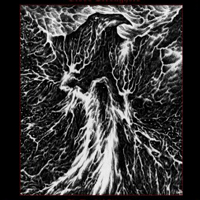 Blood Stronghold - The March of Apparitions