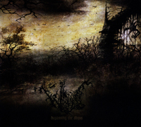 Wanderer - Bypassing the Abyss