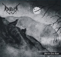 Isolfur - Pfad des Canis Lupus